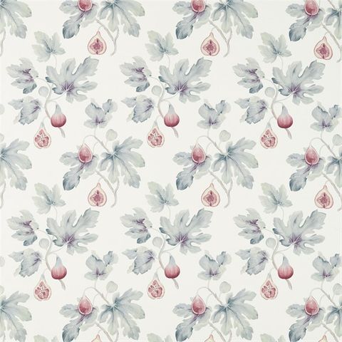 Fig Harvest Chalk/Orchid