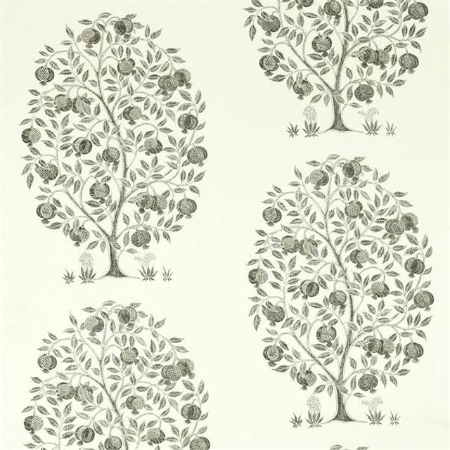 Sanderson  Anaar Tree Charcoal Sample