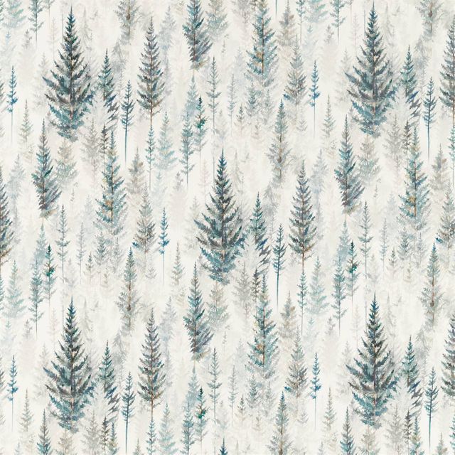 Juniper Pine Pine Forest