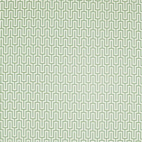 Linnean Linnean Botanical Green