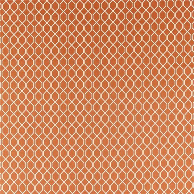 Botanic Trellis Papaya Upholstery Fabric