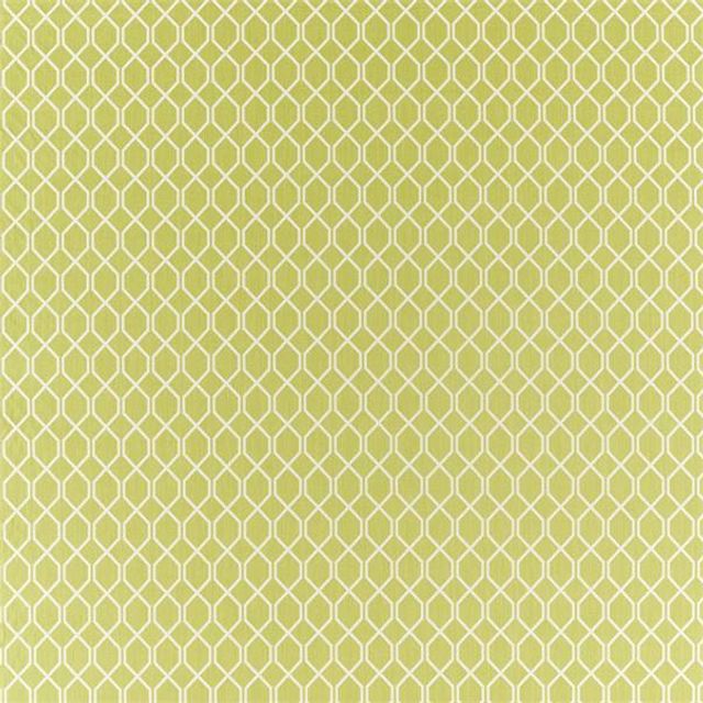 Botanic Trellis Lime