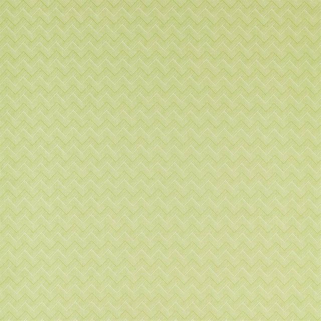 Sanderson Linnean Weaves Nelson Lime Upholstery Fabric