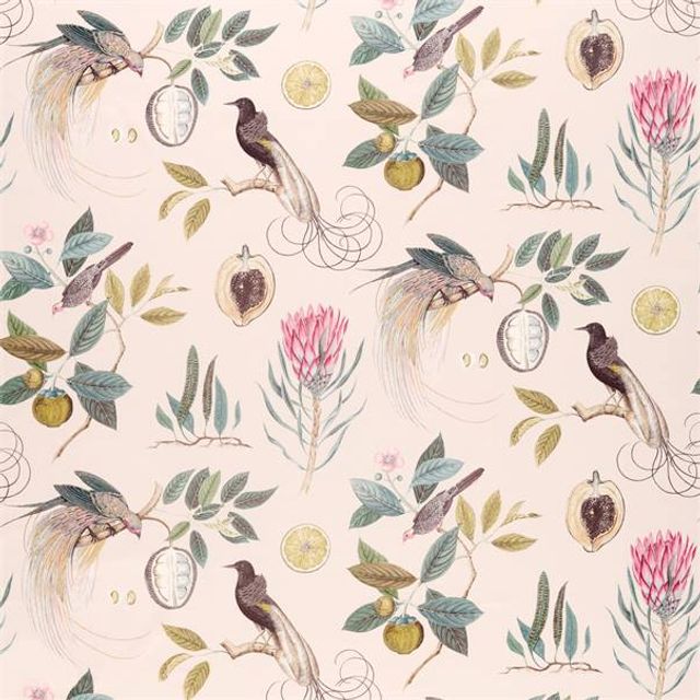 Sanderson Glasshouse Fabrics Paradesia Orchid/Grey Upholstery Fabric