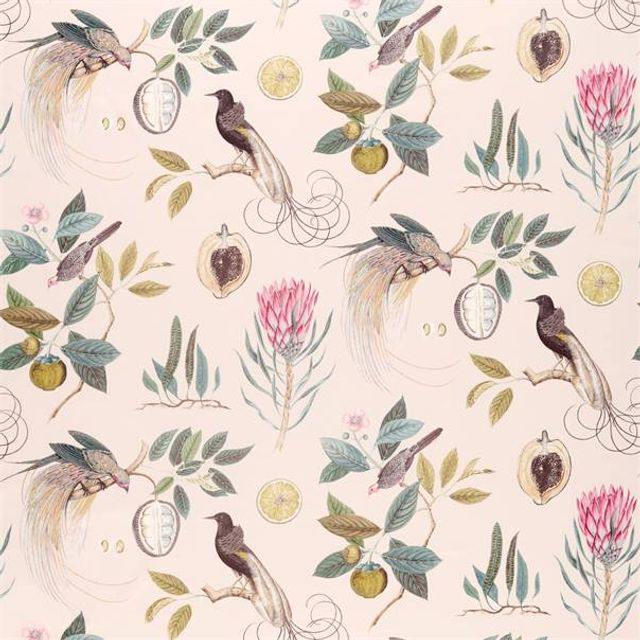 Paradesia Orchid/Grey Upholstery Fabric