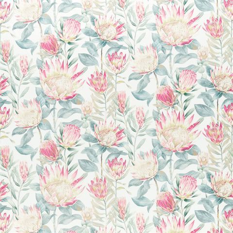 King Protea Orchid/Grey