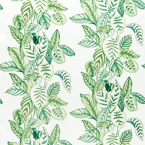 Calathea Botanical Green Upholstery Fabric