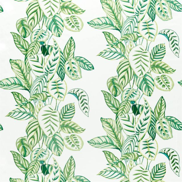 Sanderson Glasshouse Fabrics Calathea Botanical Green