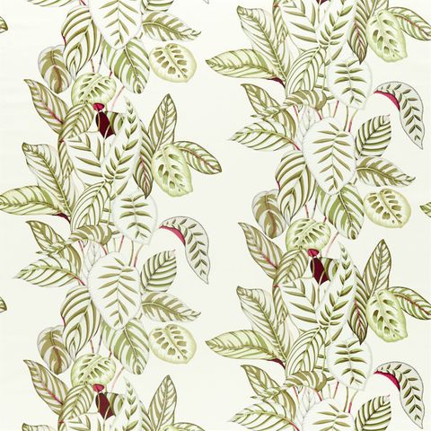 Calathea Olive Upholstery Fabric