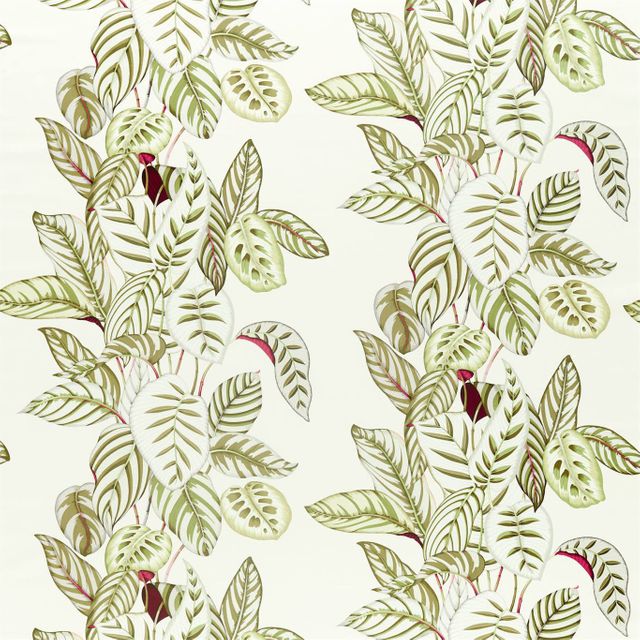 Sanderson Glasshouse Fabrics Calathea Olive