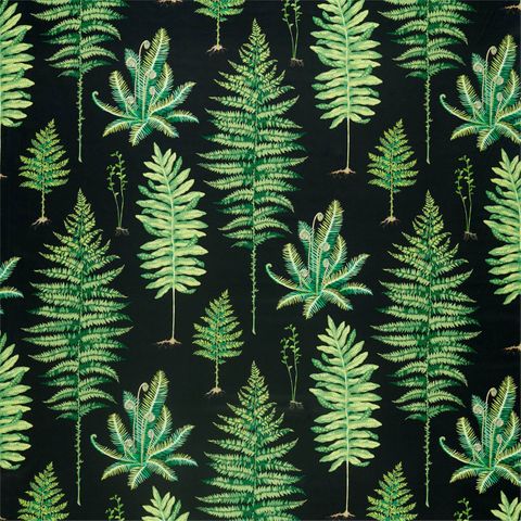 Fernery Botanical Green/Charcoal Upholstery Fabric