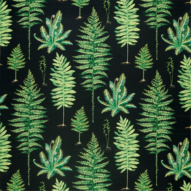 Sanderson Glasshouse Fabrics Fernery Botanical Green/Charcoal