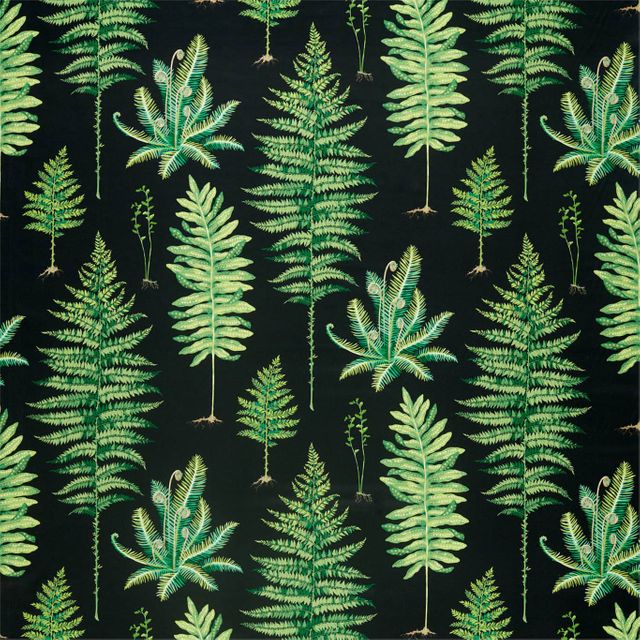 Fernery Botanical Green/Charcoal