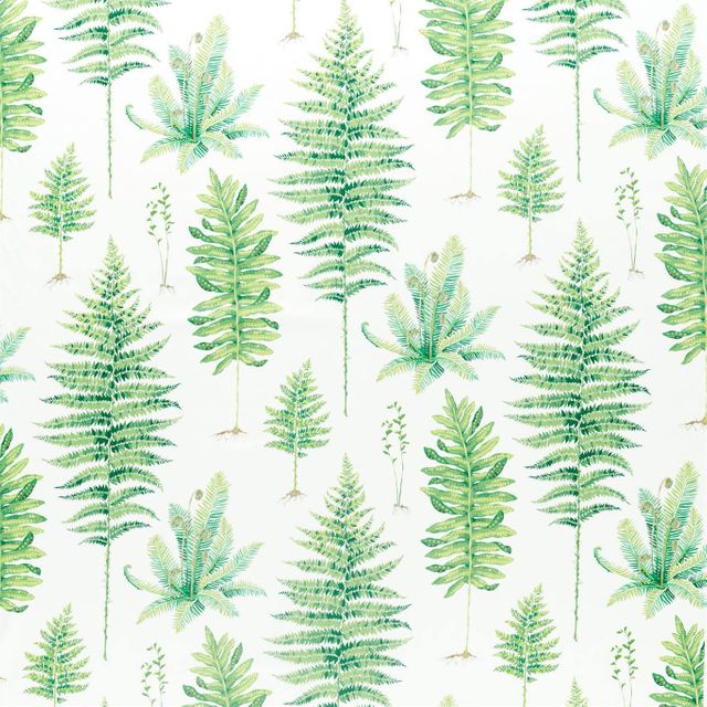Sanderson Glasshouse Fabrics Fernery Botanical Green
