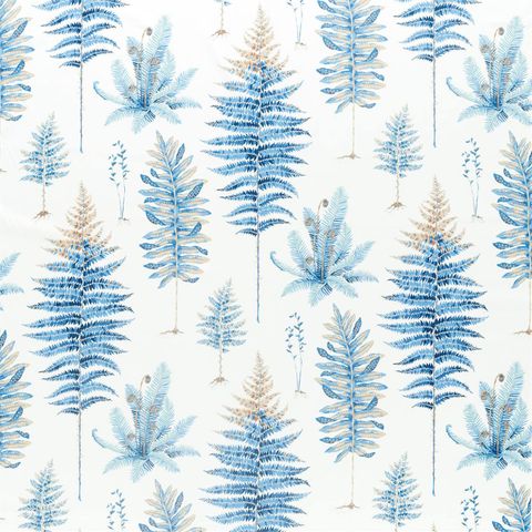 Fernery China Blue
