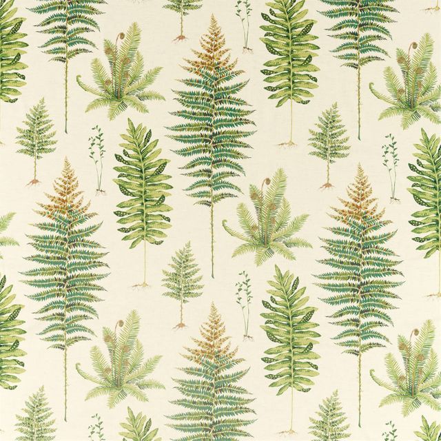 Sanderson Glasshouse Fabrics Fernery Olive