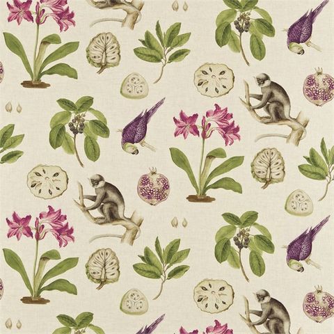 Capuchins Boysenberry Upholstery Fabric