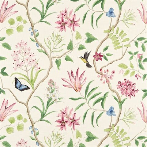 Clementine Chintz