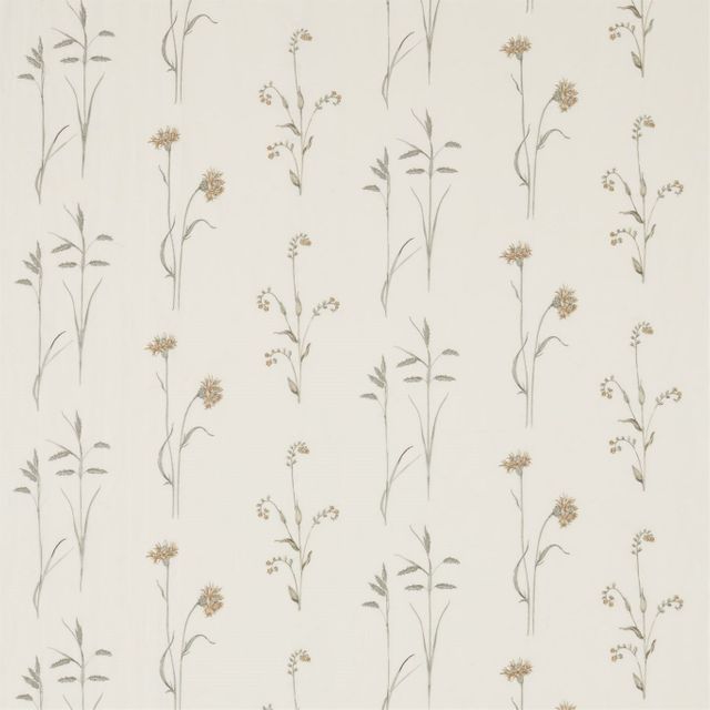 Sanderson Woodland Walk Meadow Grasses Sage/Honey