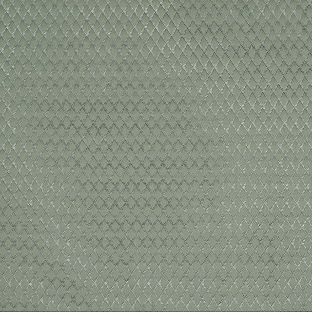 Ashley Wilde  Argyle Sage Sample