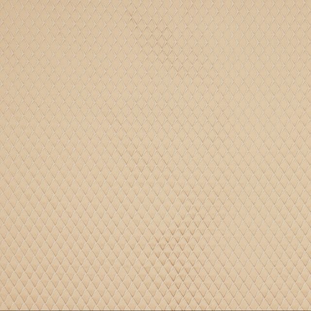 Ashley Wilde  Argyle Gold Sample