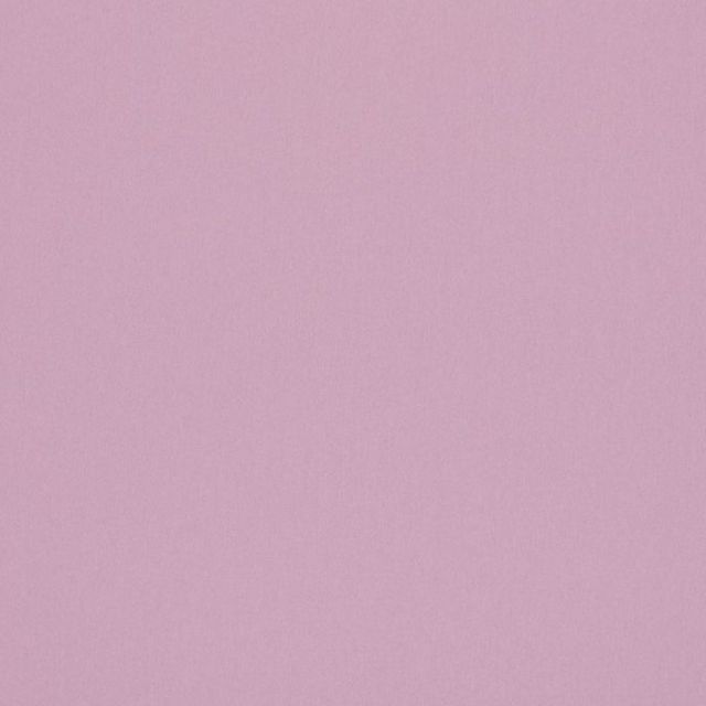 Ashley Wilde Omari Omari Orchid
