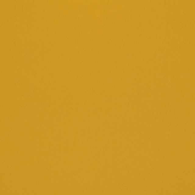 Ashley Wilde Omari Omari Sunflower