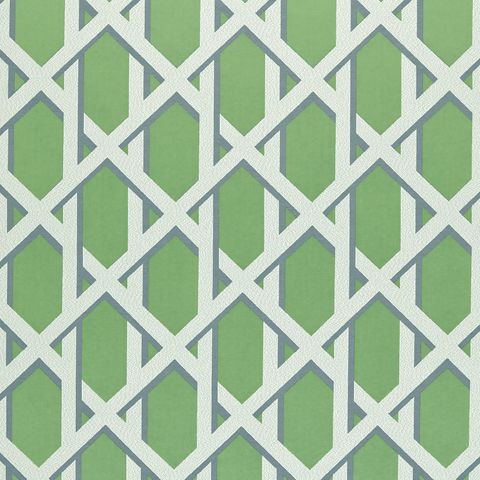 Lattice Kiwi