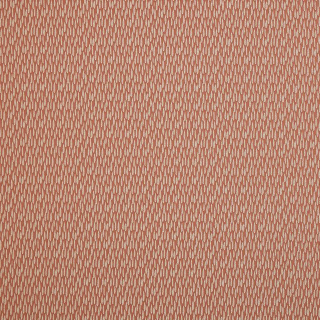 Ashley Wilde Starlette Astrid Coral