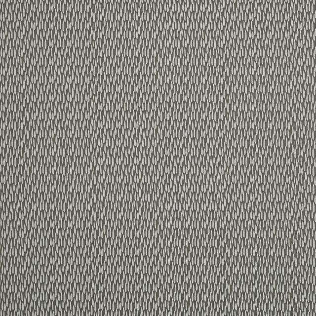 Ashley Wilde  Astrid Charcoal Sample