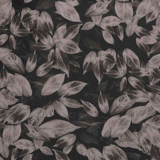 Ashley Wilde Velluto Giardino Truffle