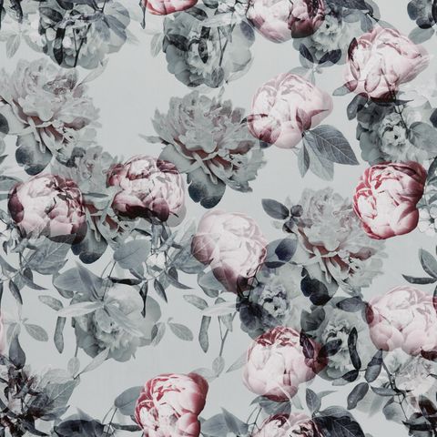 Jessamine Peony Upholstery Fabric