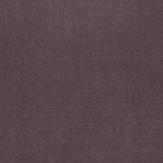 Ashley Wilde Velluto Saluzzo Haze