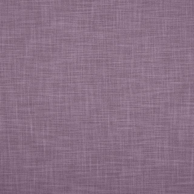 Zander Lavender