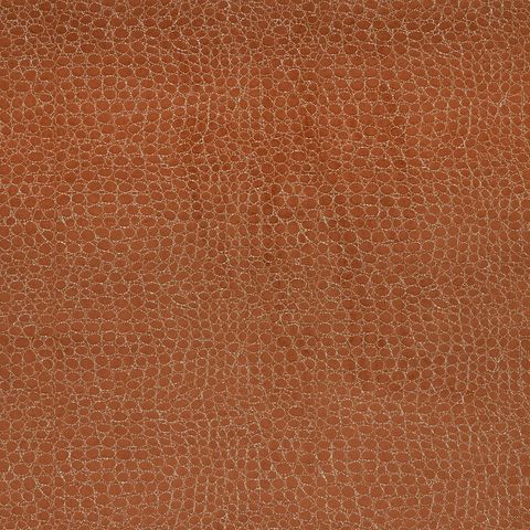 Kai Animal Instincts Cobra Rust Box Cushion