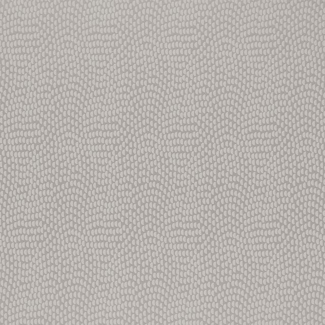 Kai Aravalli Sudetes Silver