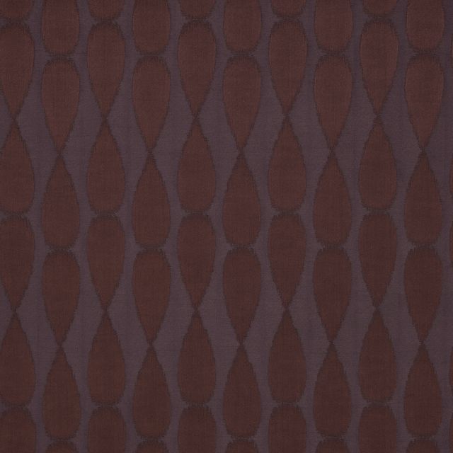 Kai Jacamar Sabine Truffle