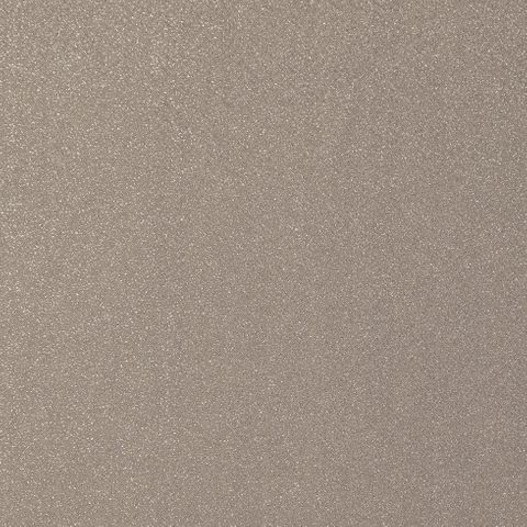 Zaniah Champagne Voile Fabric