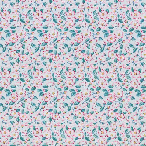 Climbing Blossom Blush