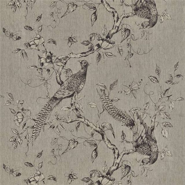 Zoffany Darnley Fabrics Darnley Toile Empire Grey