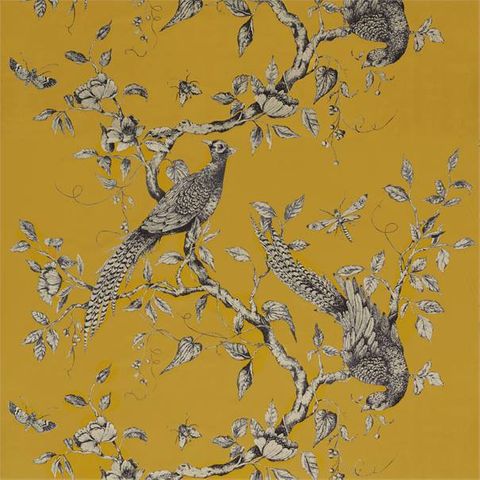 Darnley Toile Velvet Velvet Tigers Eye