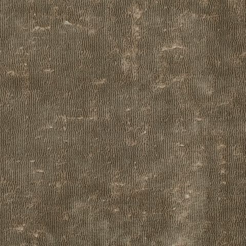 Curzon Sable Zoffany