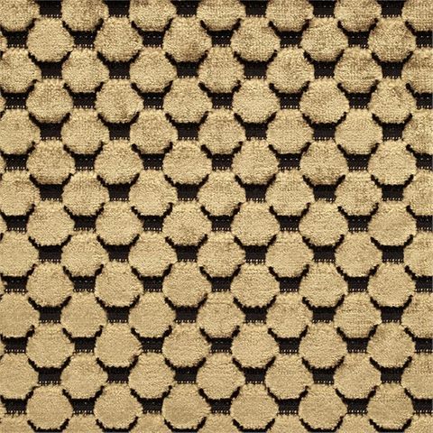 Tespi Spot Carbon/Old Gold Voile Fabric