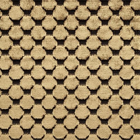 Tespi Spot Carbon/Old Gold