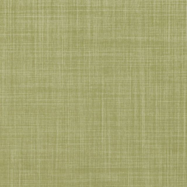 Dune Willow Voile Fabric