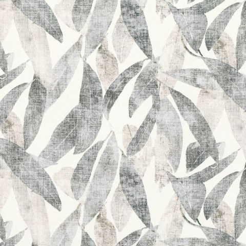 Arboretum Eucalyptus