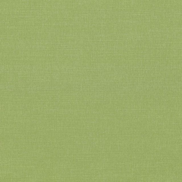 Romo Linara Linara Kiwi