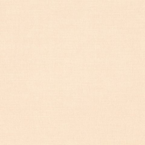 Romo Linara Linara Latte Cushion