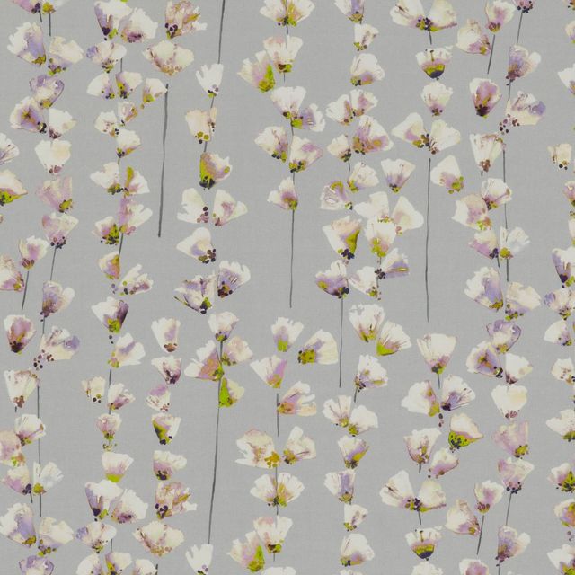 Romo Saphira Honor Orchid