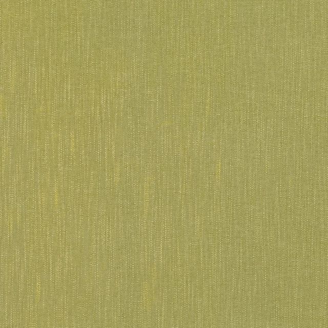 Villa Nova Lille Lille Salix